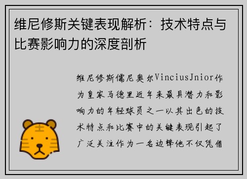 维尼修斯关键表现解析：技术特点与比赛影响力的深度剖析